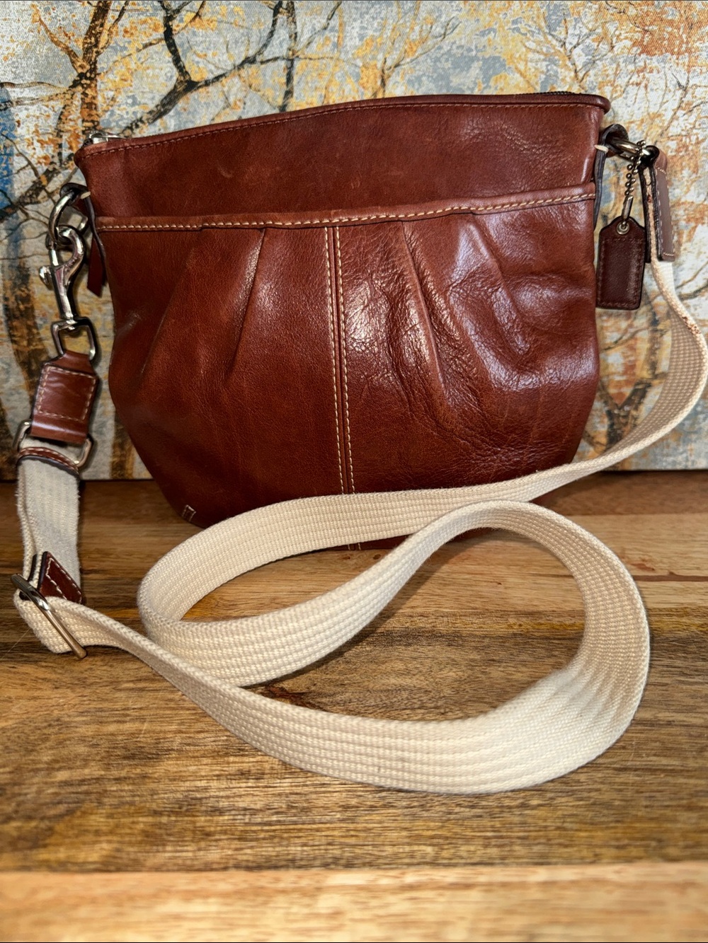 Brown Coach SoHo Swingpack Leather Crossbody Bag with Canvas Strap